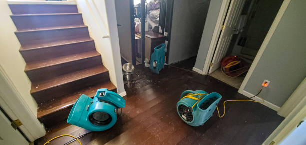Best 24-hour water damage restoration  in Deshler, OH