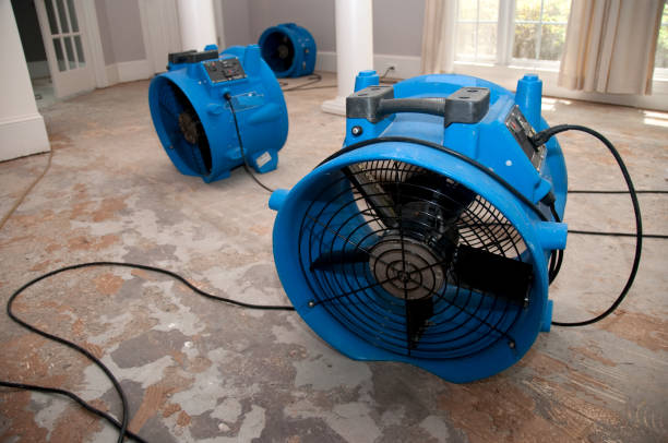 Best Professional water damage repair  in Deshler, OH
