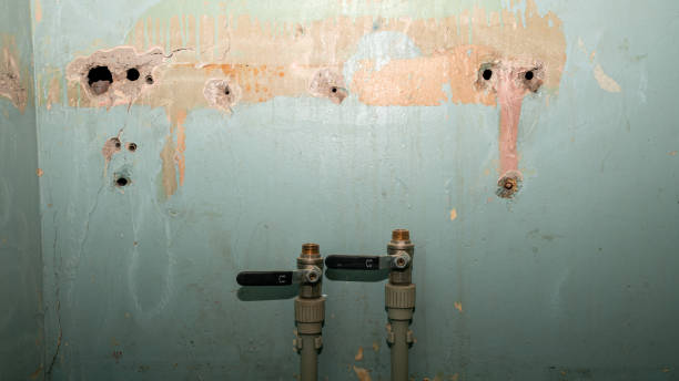 Best Flood damage cleanup  in Deshler, OH